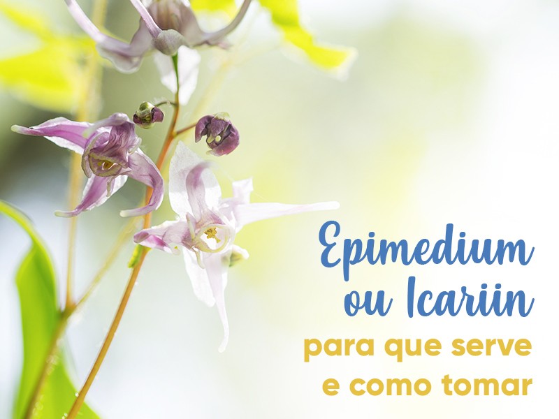 Epimedium ou Icariin: para que serve e como tomar